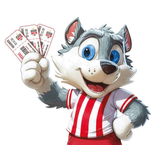 Asseco Resovia Rzeszów - system biletowy